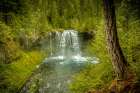 Oregon-McKenzie River Koosah Falls landscape Art Print